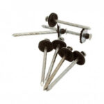 Clavo Zinc Con Empaque